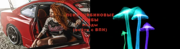 МДПВ Алзамай
