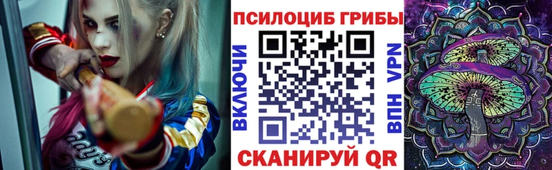 Псилоцибиновые грибы MAGIC MUSHROOMS  наркота  Заволжск 